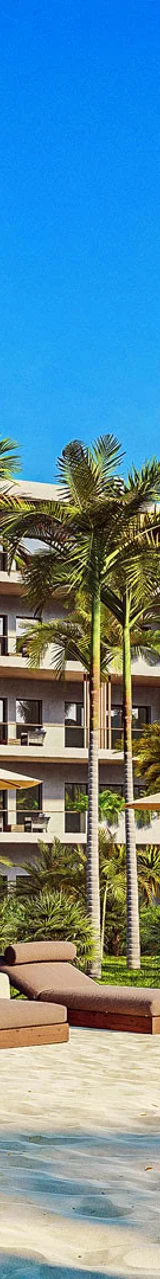 Tropical paradise homes Tropical paradise homes